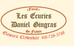 logo_daniel_gingras